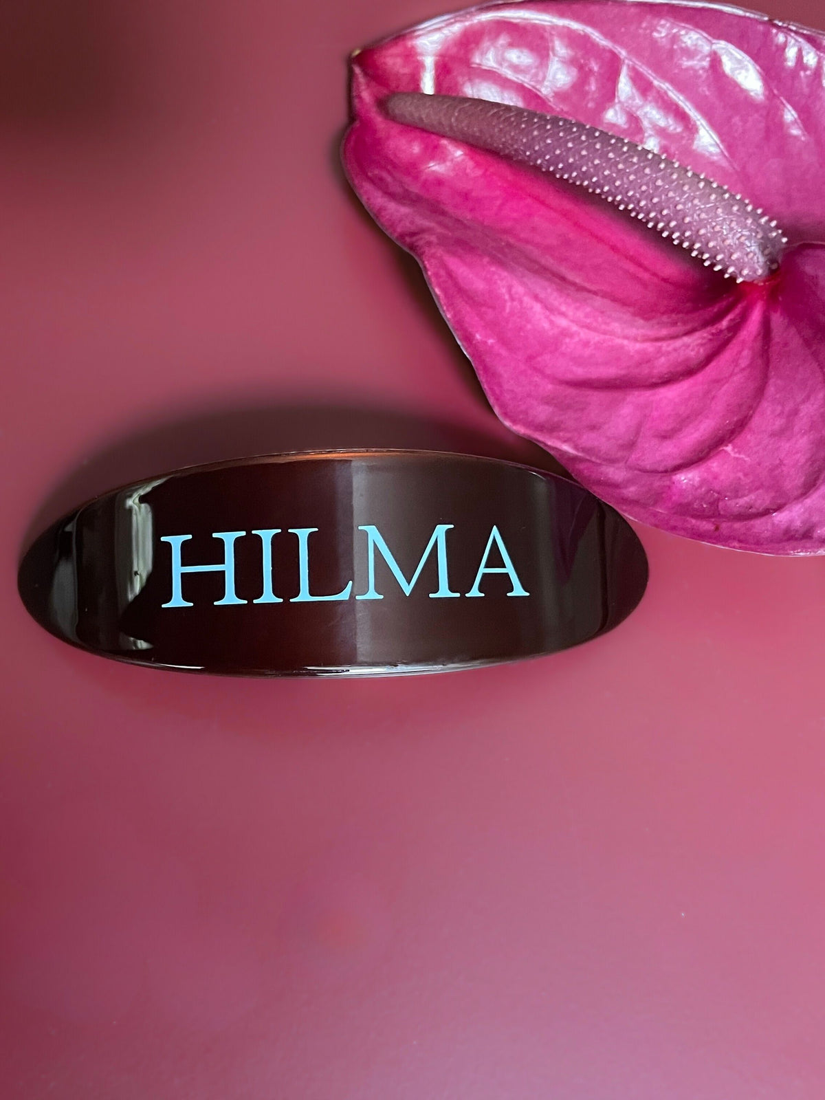 Hilma Logo Barrette Hair Clip
