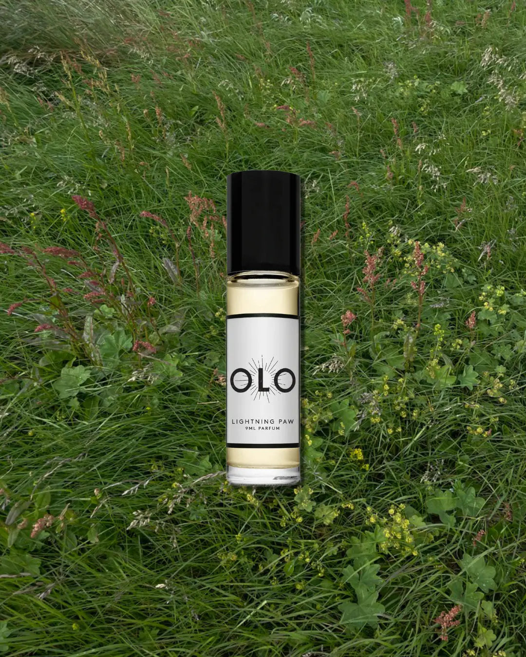Welcoming OLO Fragrances