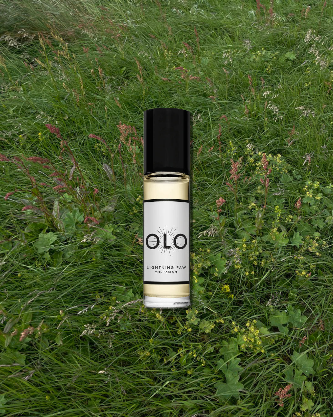 Welcoming OLO Fragrances